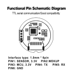Hi-Link Semiconductor Fingerprint Recognition Module HLK-ZW0905 Capacitive Touch Fingerprint Door Lock Acquisition Sensor Module